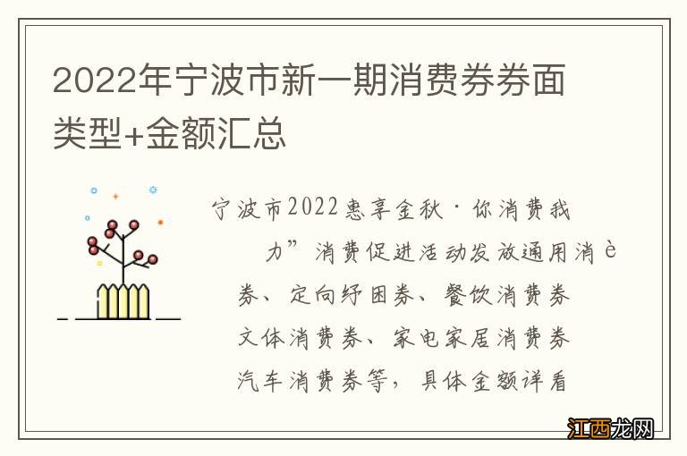 2022年宁波市新一期消费券券面类型+金额汇总