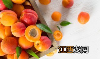 十大营养价值最高食物 分享十大营养最高的食物
