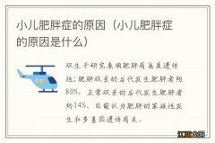 小儿肥胖症的原因是什么 小儿肥胖症的原因