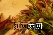 枸杞叶跟什么打汤最适合 枸杞叶蛋花汤的功效