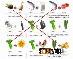 瓜子与什么食物相克