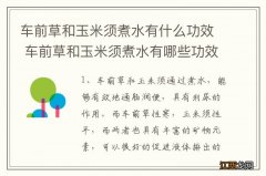 车前草和玉米须煮水有什么功效 车前草和玉米须煮水有哪些功效