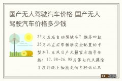 国产无人驾驶汽车价格 国产无人驾驶汽车价格多少钱