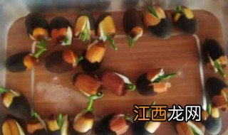 莲子泡几天能发芽,莲子泡水里几天发芽