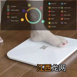 关于电子秤测脂肪含量的原理