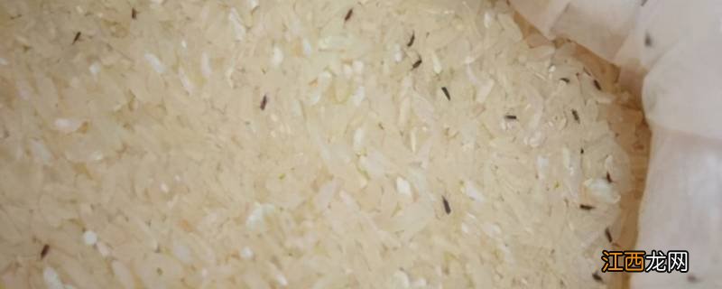 大米生虫子怎么处理干净