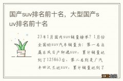 国产suv排名前十名，大型国产suv排名前十名