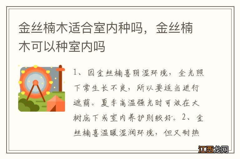 金丝楠木适合室内种吗，金丝楠木可以种室内吗