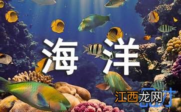 关于大海的谜语