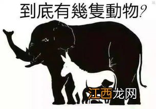 顾字代表什么动物