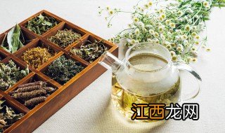 金银花泡水喝的正确禁忌 详解金银花泡水喝禁忌