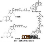 固醇含什么化学元素