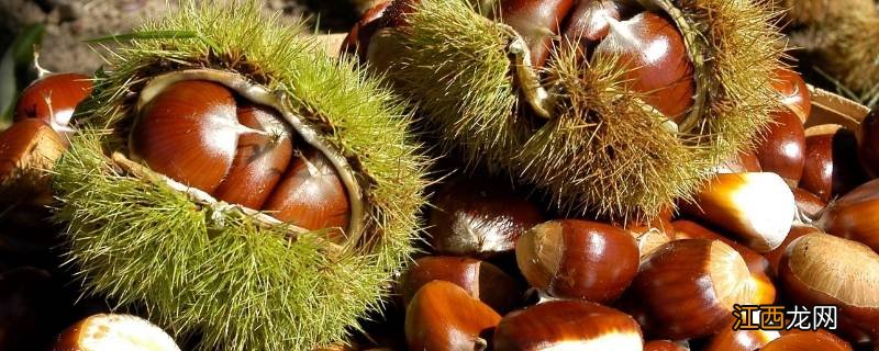 煮熟的栗子怎样好剥壳