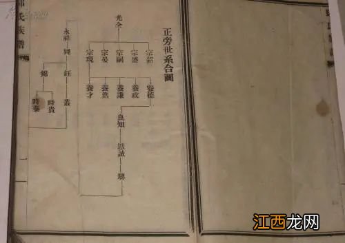 古代孙辈排序怎么区分