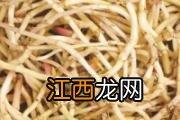 大白菜馅饺子白菜用焯水吗 白菜馅饺子用盐杀水吗