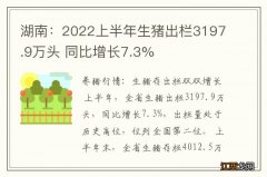 湖南：2022上半年生猪出栏3197.9万头 同比增长7.3%