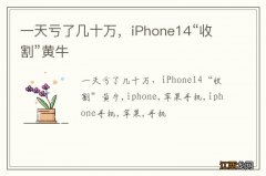 一天亏了几十万，iPhone14“收割”黄牛