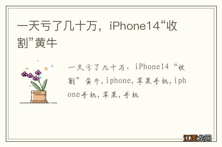 一天亏了几十万，iPhone14“收割”黄牛