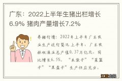 广东：2022上半年生猪出栏增长6.9% 猪肉产量增长7.2%