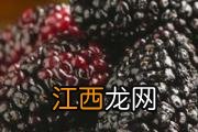 甲鱼汤炖多久时间 甲鱼煲鸡放什么材料