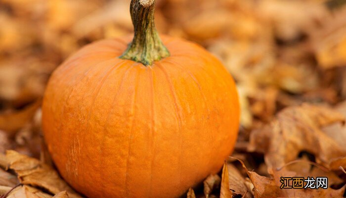 南瓜霜降后摘下来晚不晚熟 南瓜霜降后摘下来晚不晚