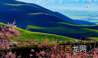 去伊犁旅游什么季节，去伊犁旅游什么季节最合适