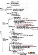 高中政治哲学常识性知识整理 有哪些知识点