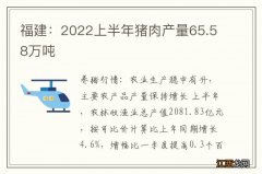 福建：2022上半年猪肉产量65.58万吨