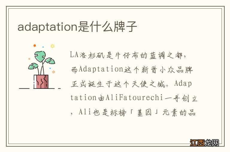 adaptation是什么牌子