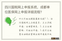 四川国税网上申报系统，成都单位医保网上申报详细流程？