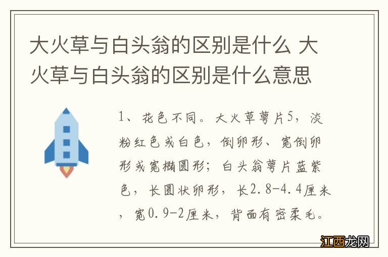 大火草与白头翁的区别是什么 大火草与白头翁的区别是什么意思