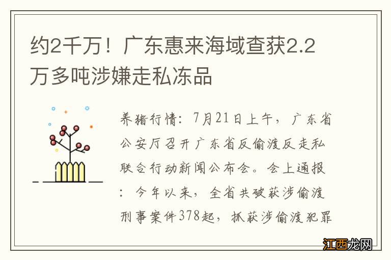 约2千万！广东惠来海域查获2.2万多吨涉嫌走私冻品