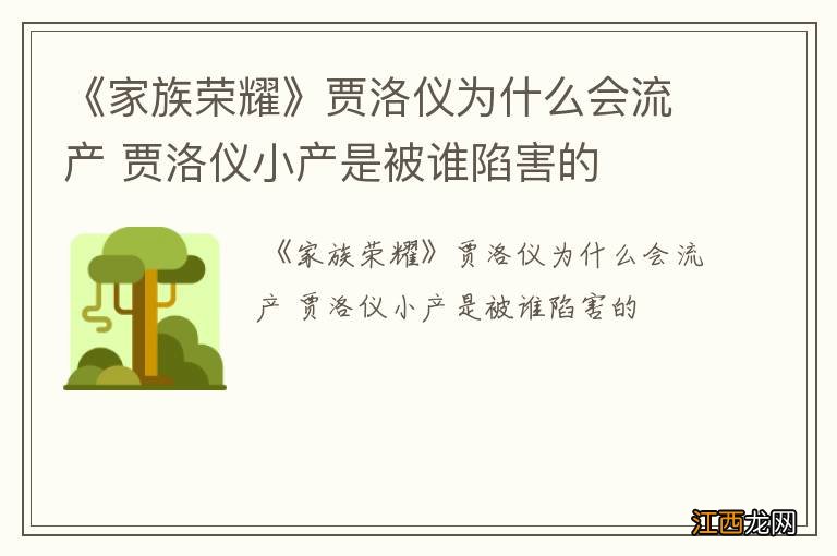 《家族荣耀》贾洛仪为什么会流产 贾洛仪小产是被谁陷害的