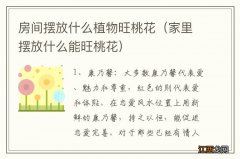 家里摆放什么能旺桃花 房间摆放什么植物旺桃花