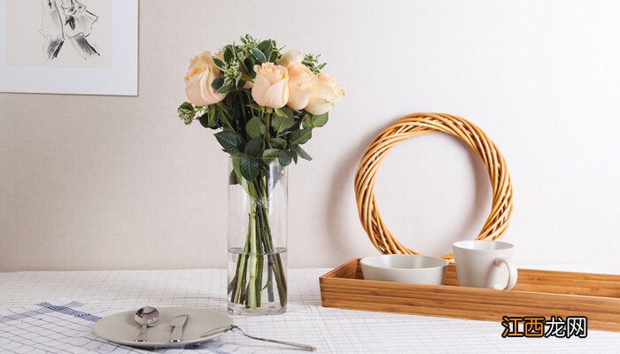 玉兰花的寓意和象征 白玉兰花语和含义