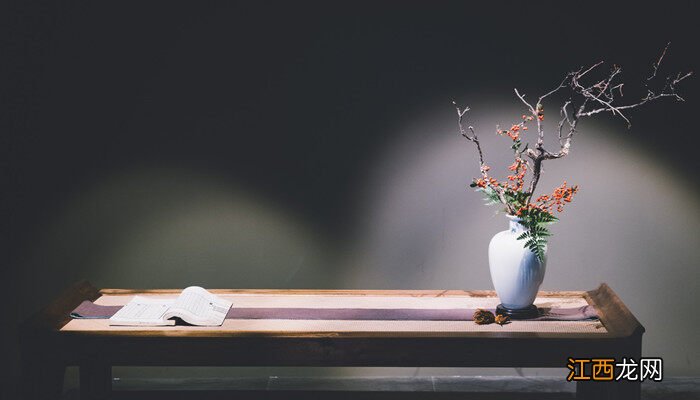 玉兰花的寓意和象征 白玉兰花语和含义