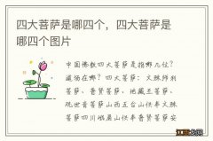 四大菩萨是哪四个，四大菩萨是哪四个图片