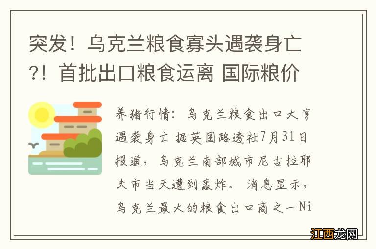 突发！乌克兰粮食寡头遇袭身亡?！首批出口粮食运离 国际粮价下跌..