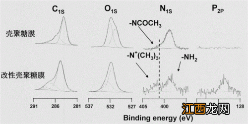在银行买了五年保险中途可以退吗?