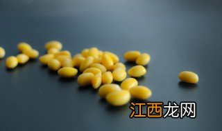 水泡过的黄豆种子多久可以发芽 泡黄豆种子几天能发芽啊