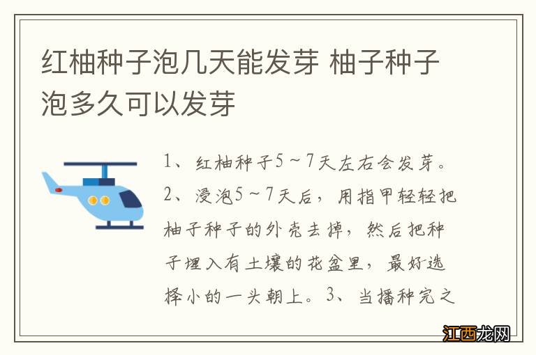 红柚种子泡几天能发芽 柚子种子泡多久可以发芽