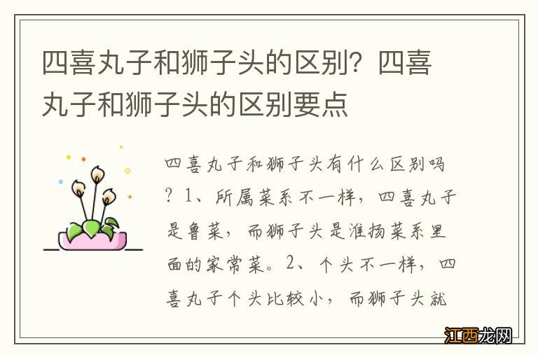 四喜丸子和狮子头的区别?四喜丸子和狮子头的区别要点