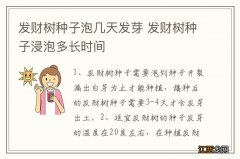 发财树种子泡几天发芽 发财树种子浸泡多长时间