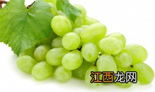 每天吃提子有什么好处，每天吃提子有什么好处与坏处