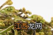 吃豌豆苗会引起过敏吗 吃豌豆苗过敏症状