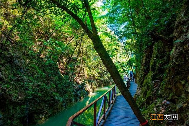 陕西超美的原生态峡谷,青山绿水让人很舒适,去游玩凉快的很