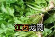 鱼腥草去湿气吗 鱼腥草配什么去湿气