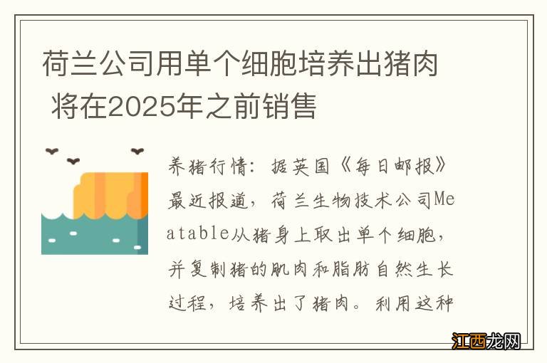 荷兰公司用单个细胞培养出猪肉 将在2025年之前销售