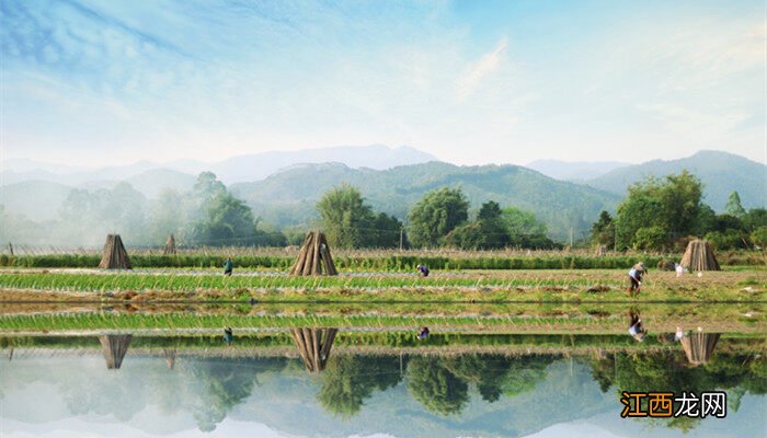 刀耕火种是怎样的种植方式呢 刀耕火种是怎样的种植方式