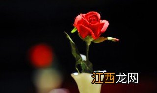 花草适合种在室内吗 花草适合种在室内吗冬天